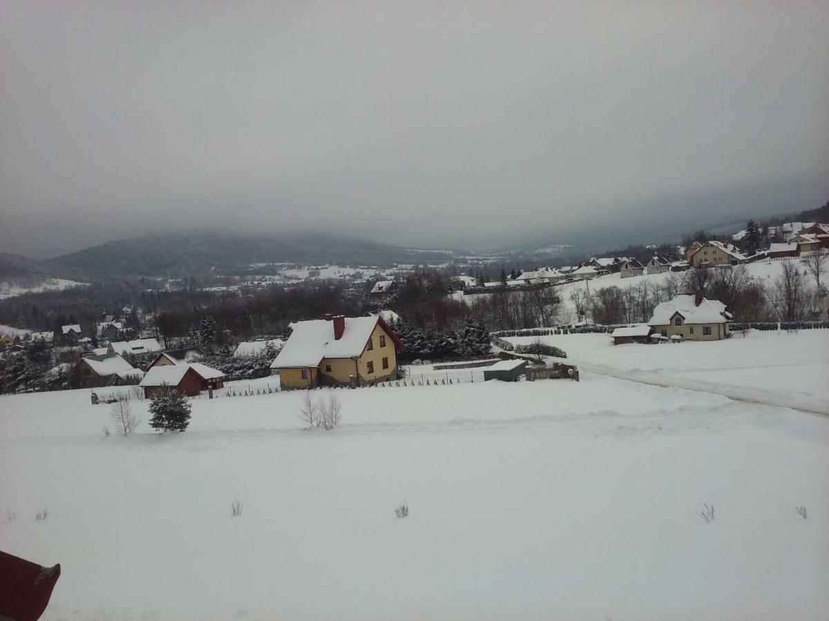 Pokoje Panorama Wysowa-Zdroj Exterior photo